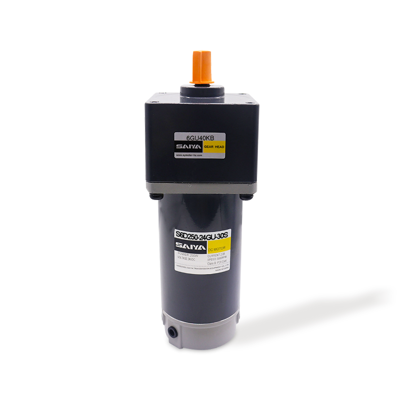 250W Scuab DC Motors